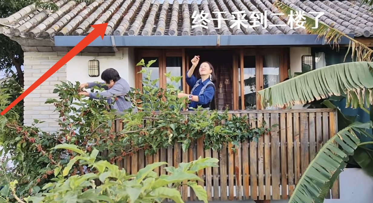 谢娜|江一燕教娃唱跳“挖呀挖”，跪在地上与孩子互动，2岁女儿颜值颇高