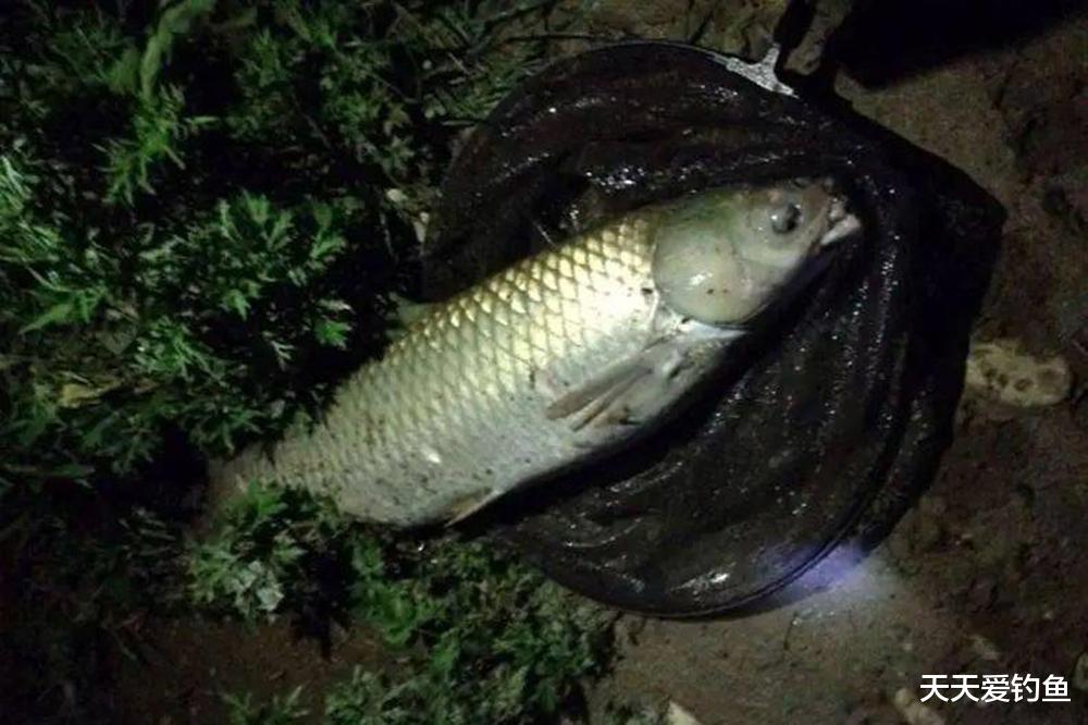 夏季钓鱼，3种天气大鱼靠边，千万别钓深水