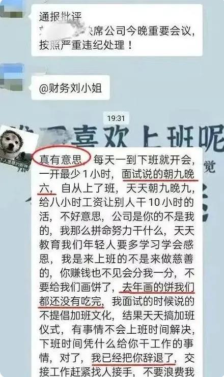 老板娘|毕业生低情商辞职信走红,句句“命中要害”,网友看后直呼过瘾