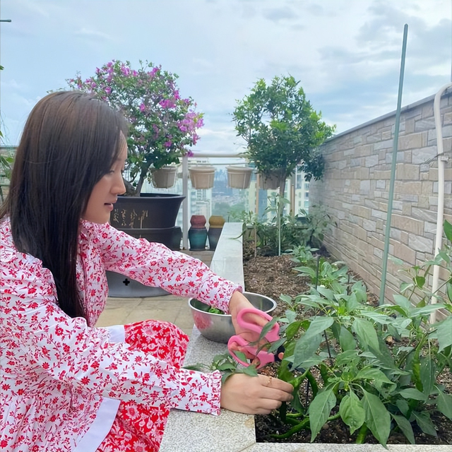 杨钰莹|51岁杨钰莹晒出独居生活:一个人,养花种菜,与狗相伴,好自在