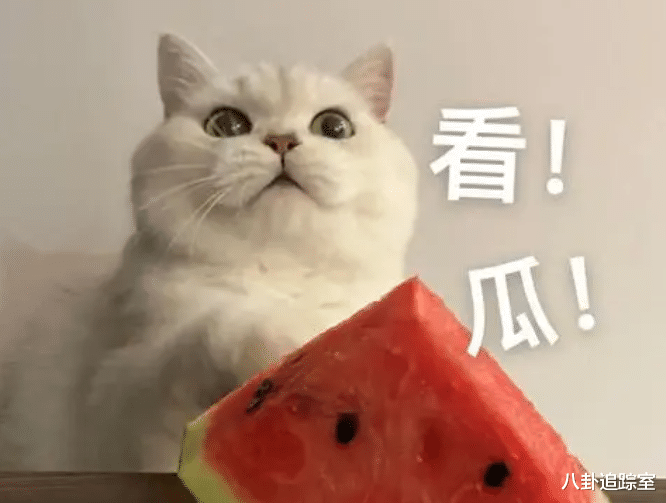 张彬彬|塌房大瓜!曝顶流踩缝纫机,无法约束私生活,张一山张彬彬陷争议