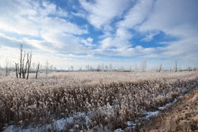 售货员|那年去二姑家走亲戚，吃了三个大虾，二姑说我没规矩，过后我才懂