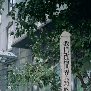 妙竹情感