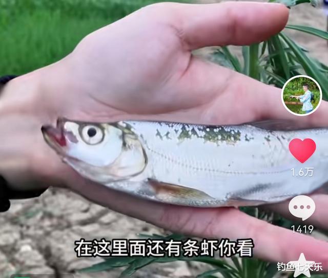 太缺德!四川两男子为了钓鱼,竟用敌敌畏“漂虾”做钓饵