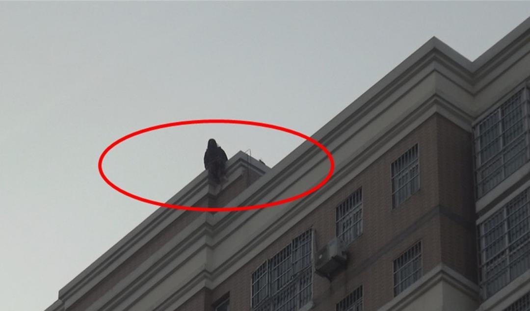 2009年，湖北贪污女老总坐牢11年出狱，为何不到两年就跳楼自杀？