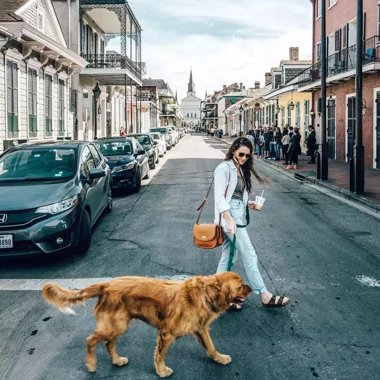吴京夫妇因缅北事件被网暴,有人喊退票,还有人质问为何见死不救