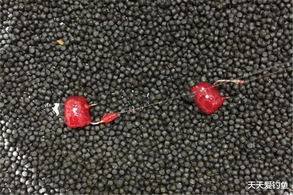 饵料|小鱼太多,大鱼不进窝?可以试试这种钓法