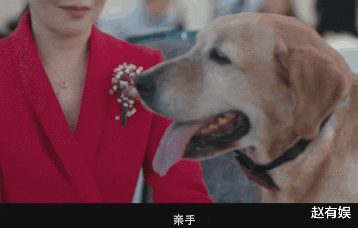 票房直逼第一，吴京新片打了多少投资方的脸？3大看点这次赢麻了