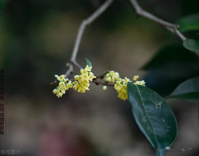 阳气受损,病就上门,这个方专调阳气不足,房劳过度