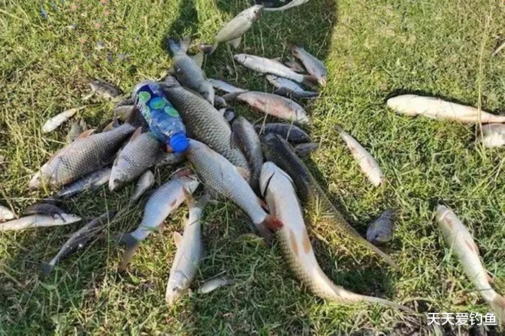 野钓选钓位,学会这些技巧,深浅都能找到鱼窝