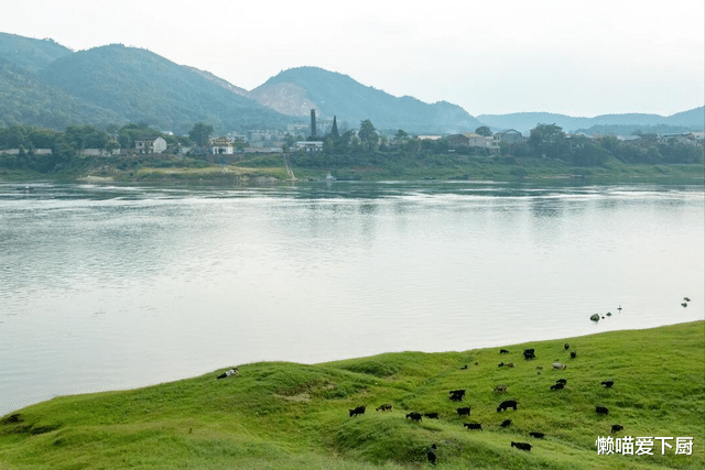 美食教程|明日七月十四,有钱没钱,记得吃“3宝”,遵循老传统,图个吉利