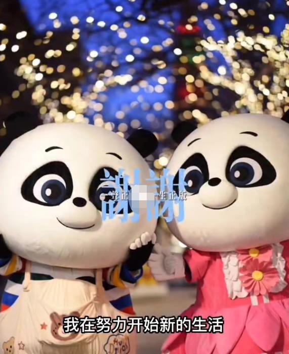 郑爽|郑爽官司庭审结束，本人发声，狂洒鸡汤自称开始新生活