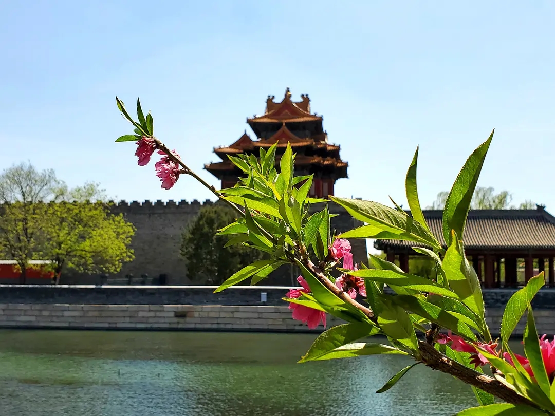 |故宫：历经沧桑的宏伟遗产，展示古代中国的荣耀与辉煌