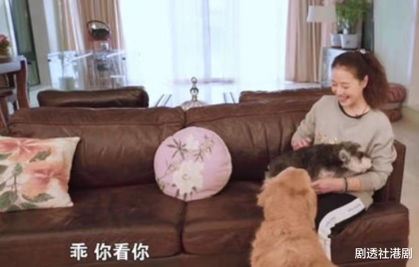 周海媚|人美心善!港知名女星晒万尺豪宅再添新宠,独居北京不婚不生