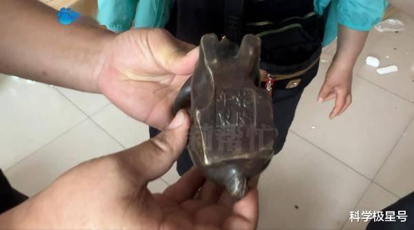 |七旬老人三天之内花了十五万购买文玩,谁知属于很低端的仿品!