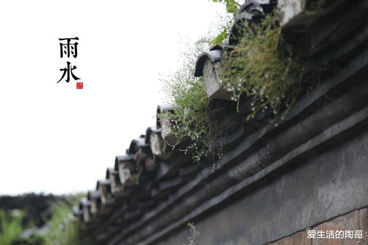 韭菜|明天雨水,记得吃雨水4宝,为迎春开好头