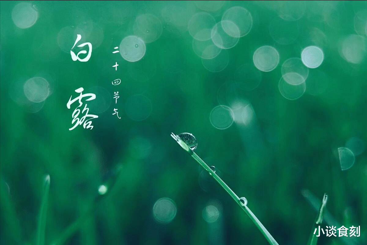 芋头|“白露来得早，记得吃三宝”，3宝是啥？9月8日白露，别忘了吃