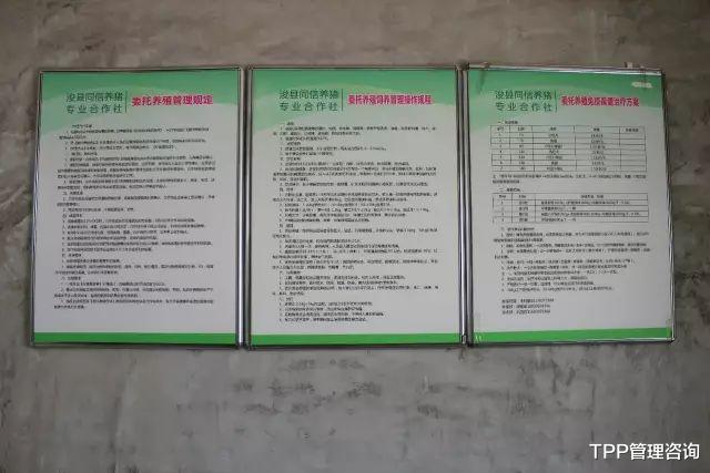 |一个车间搞个5S你们都嫌麻烦，看人家的猪场5S管理！（附5S打分表）