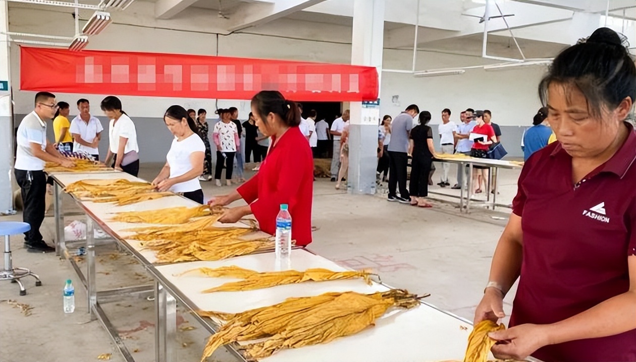 考高分也没资格进烟草?上海烟草录用名单流出,印证了张雪峰的话