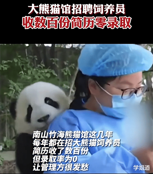 |毕业生心动工作：大熊猫饲养员，收到数百份简历，录取却不容易