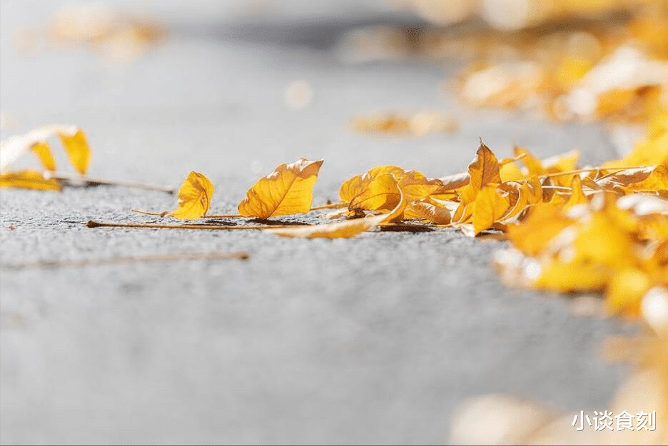 |“十三不防風(fēng)，百病來得兇”，九月十三啥日子？為啥要防風(fēng)邪？