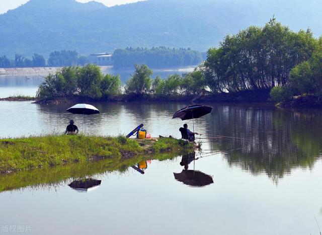 钓鱼技巧|夏季涨水好钓鱼吗?放弃这些钓鱼误区,找对时机钓位才会鱼获多多