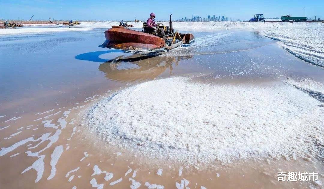 钾盐|罗布泊，中国面积最大的镇，为什么说这里养活了亿万国人？