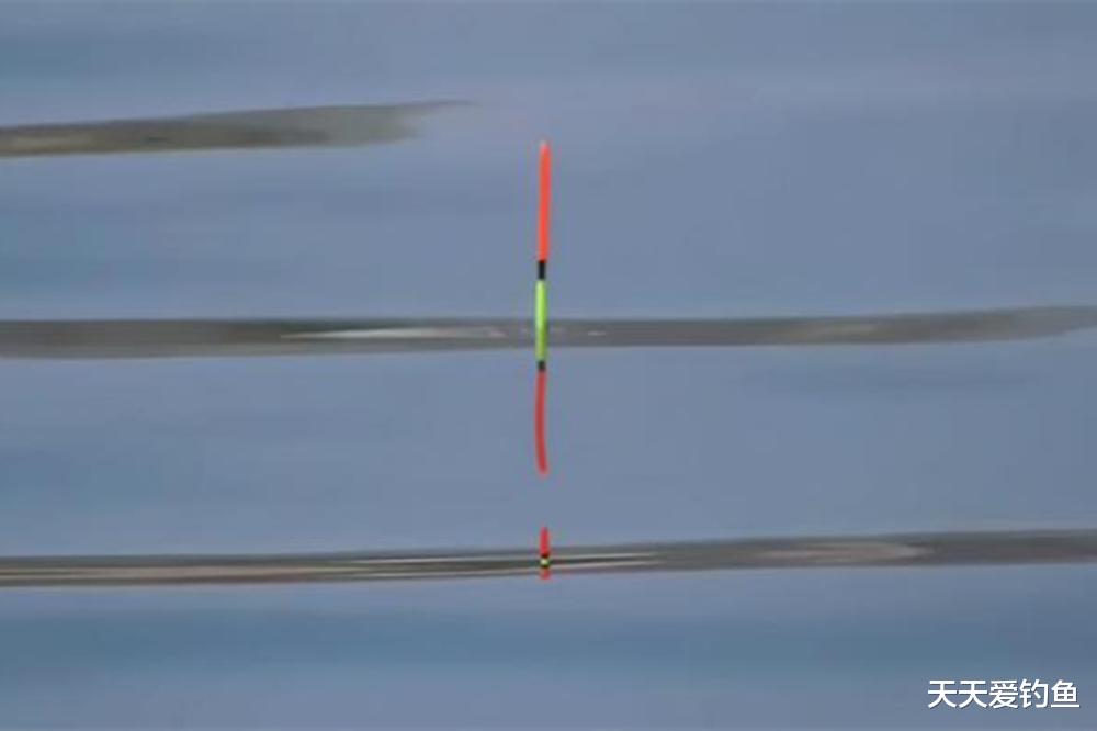 |钓鱼技巧:什么鱼情钓低目?什么鱼情钓高目?