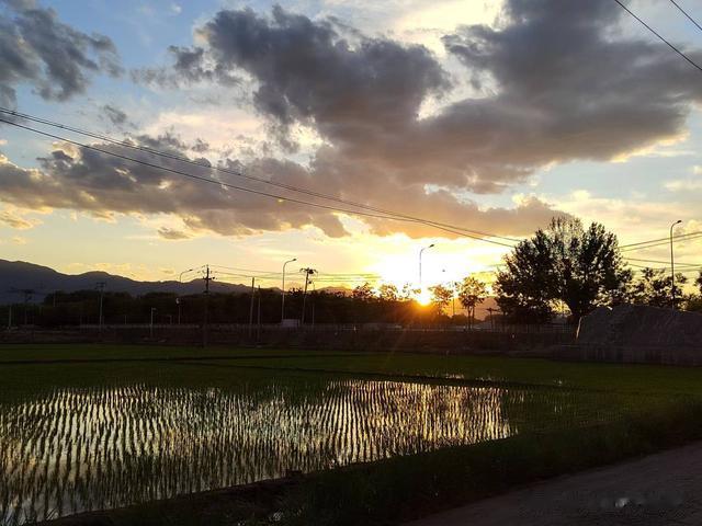 鲤鱼|钓鱼日记——2023年6月10日(滨河公园附近夜钓)