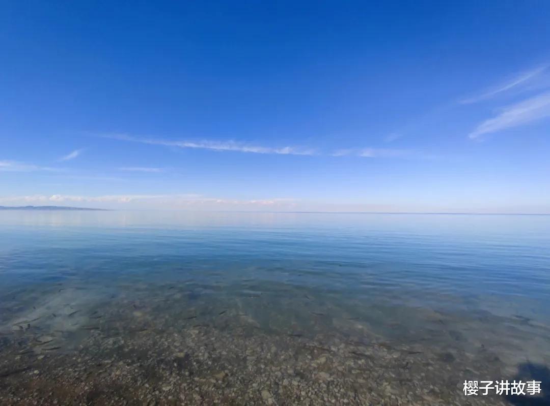 青海湖|青海湖外围的网围栏何罪之有？破坏高原生态体系才是大罪！