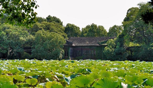 |不只有乌镇和西塘，浙江小众旅行必打卡的3个古镇，关键免费开放