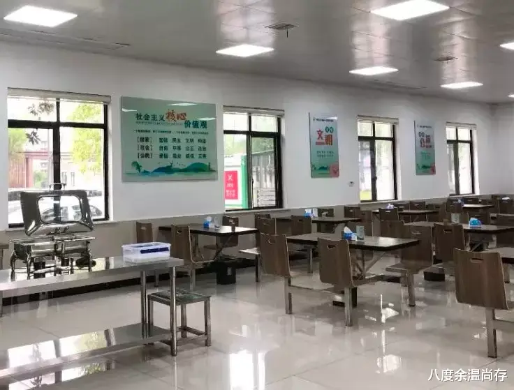 求职|别羡慕机关食堂，我在这里吃出了深深的自卑感