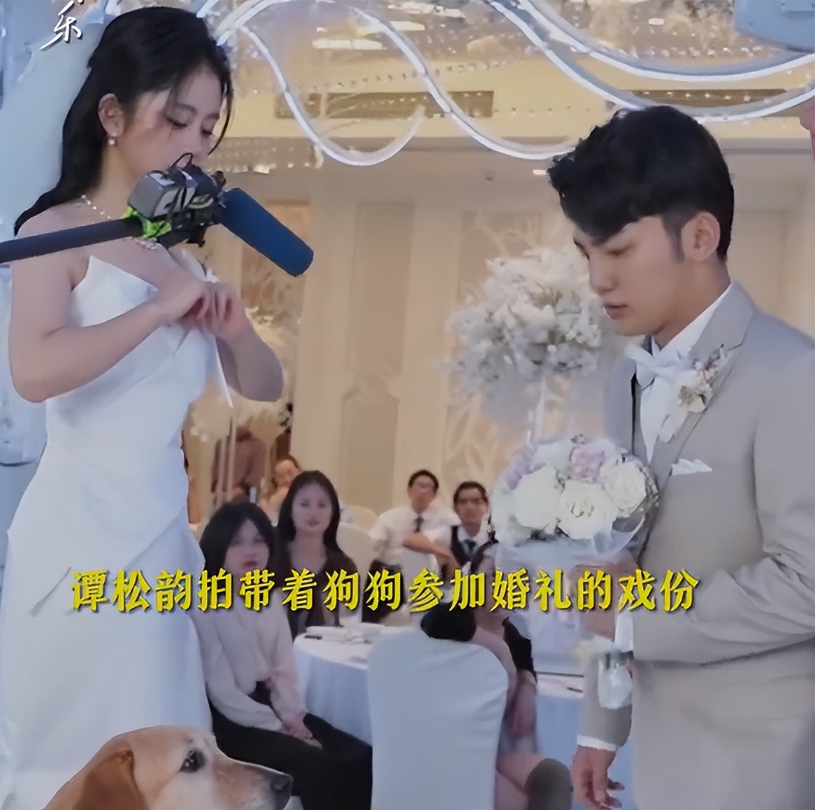 看了《再见，李可乐》，发现演技完全不能比较，优与劣一目了然