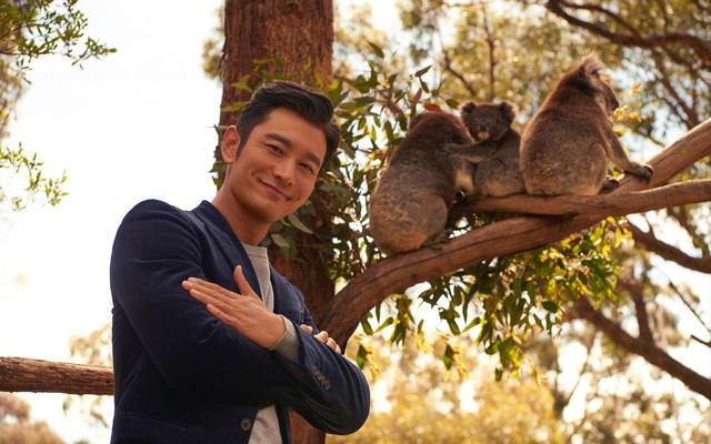 黄晓明晒日常照,疑似与前妻杨颖划清界限,被质疑与光明会有关系