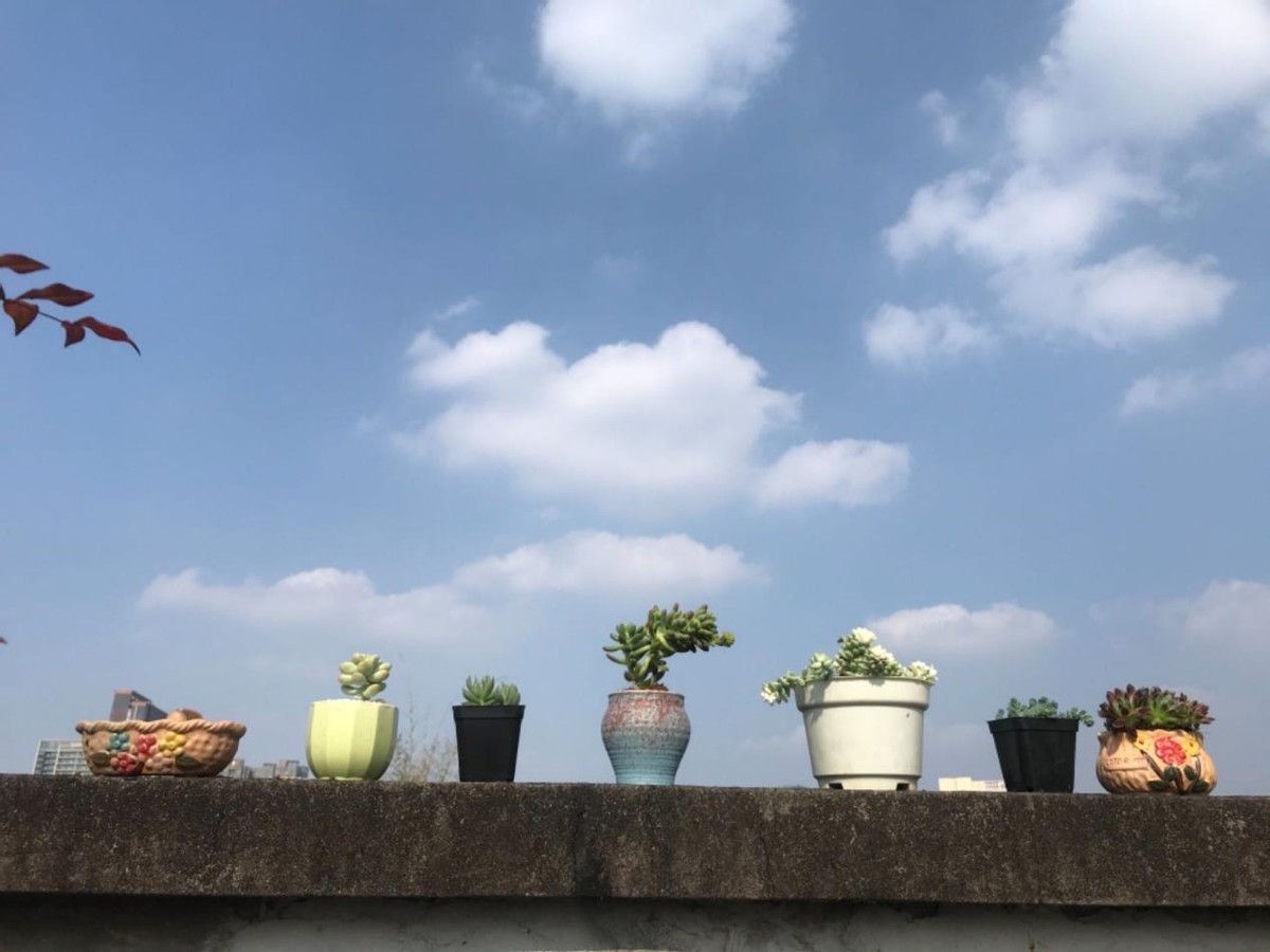 我农村姑娘,大学毕业进入世界500强,29岁靠自己买了房,全靠拼