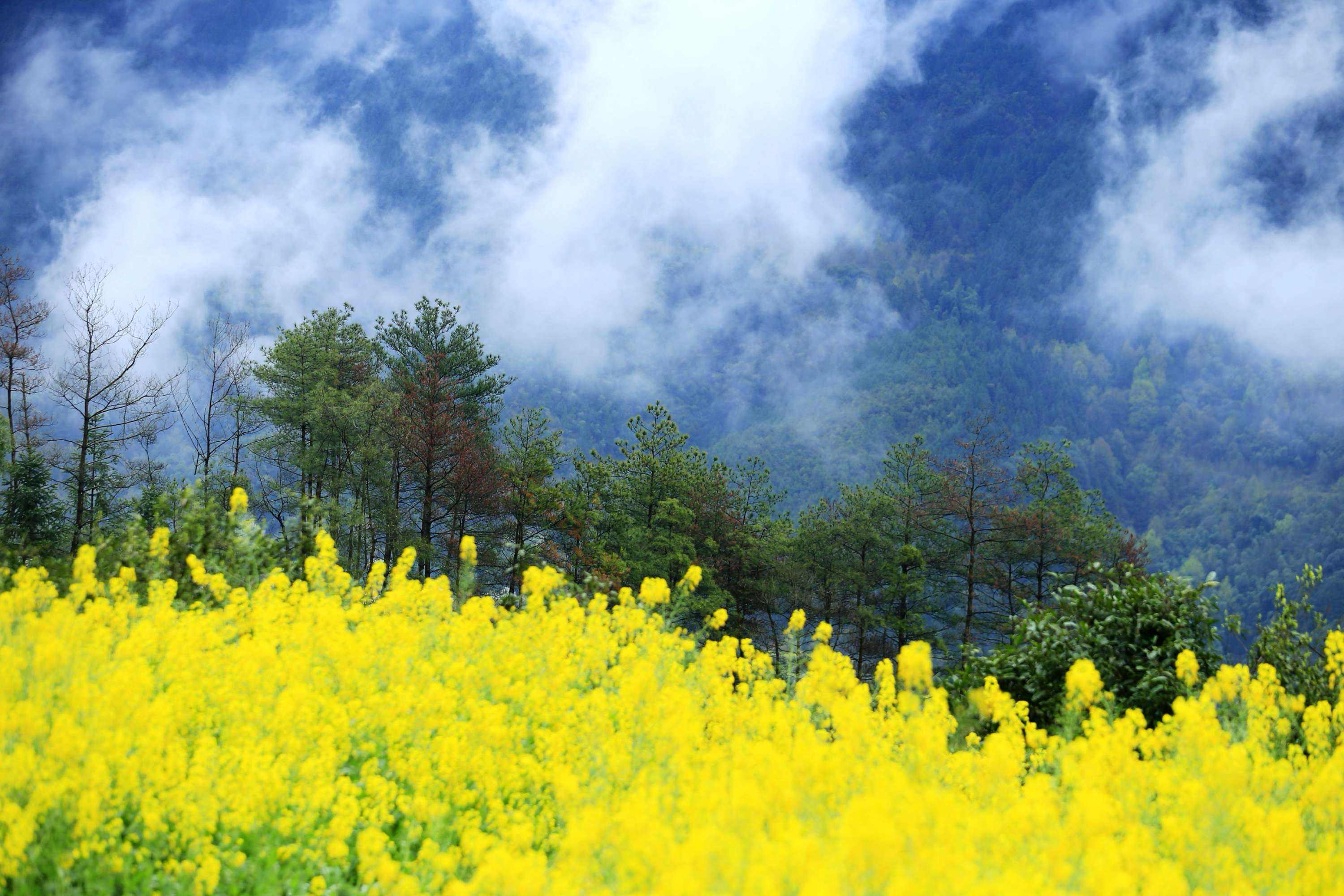 运势|猫巫先生12星座周运2023年5.22-5.28:活跃积极,勇敢好奇