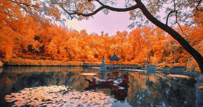 欧洲旅游|?秋季能观赏到美景的几座城市，美轮美奂的风景肯定能深深刻在你的脑海中