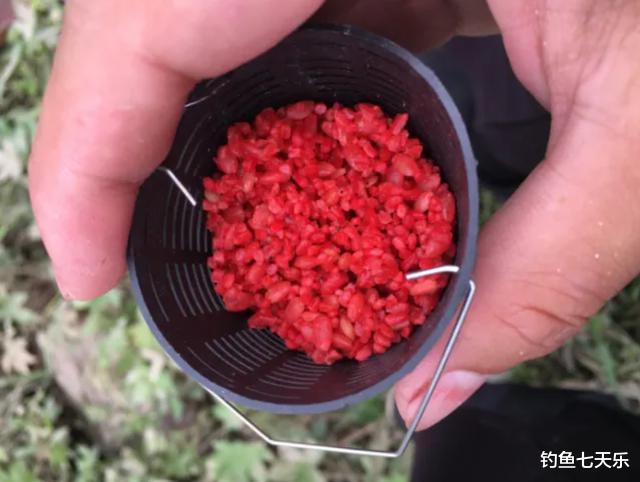 别人连杆自己却成“观漂大师”!想钓大鱼不妨试试这些聚鱼的方法