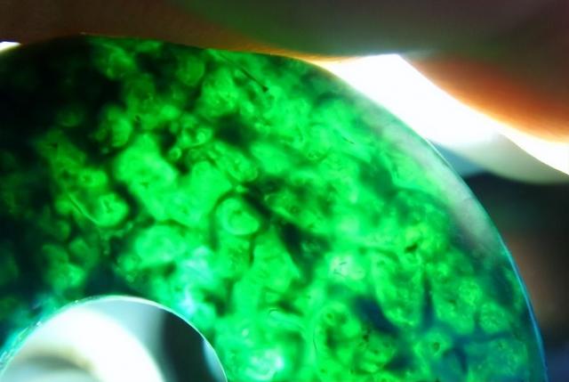 文玩|这两年文玩界火热的虬龙角实际多少钱一克?