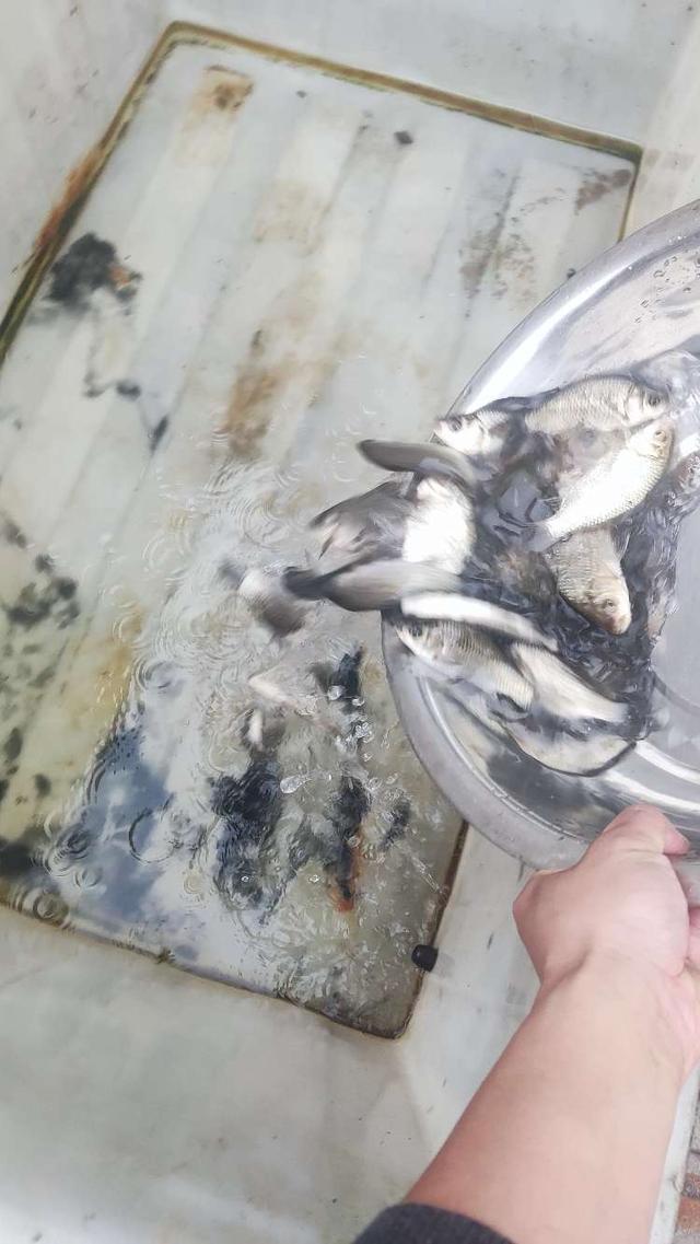 路亚竿|【钓鱼之家虾粉】冬去春来又到钓鱼季