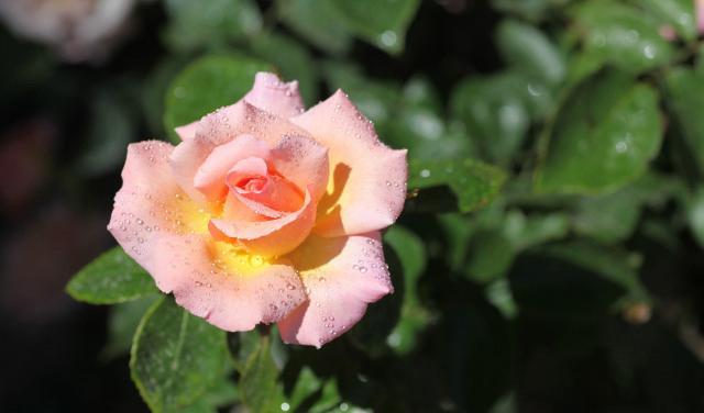 不管关系多好,同事对你做过以下事,是在“害”你