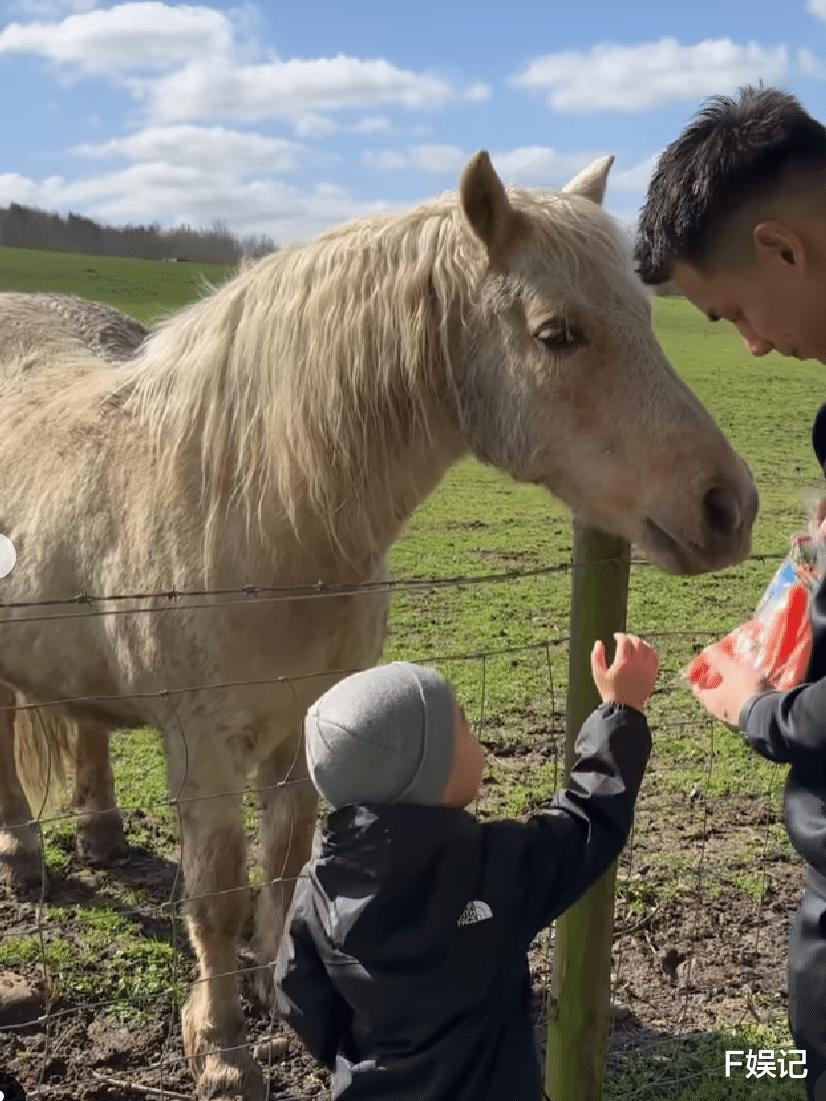 梁靖琪|梁靖琪夫妇带两个儿子去老公的外国家乡 一家四口亲近大自然