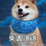 墓史迷踪说过去