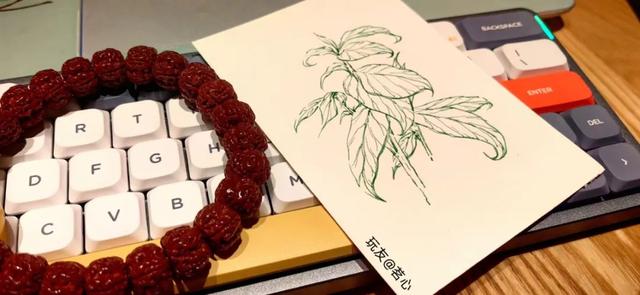 为什么新手盘金刚，能盘一年的寥寥无几？