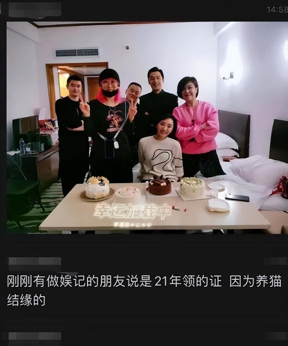 胡歌|胡歌妻子身份被扒！网传21年领证、因猫结缘，女方颜值挺高！