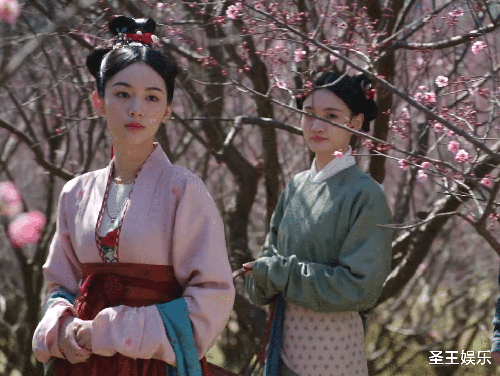 《为有暗香来》华浅身边的四大丫鬟,一死一叛二躺赢,千芷惨死?