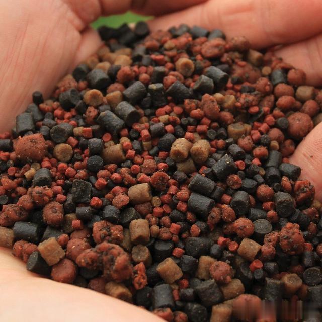 女孩|《话说欧鲤钓》诱饵篇 动物饵及成品饵节暨欧鲤钓创意实践赛规则