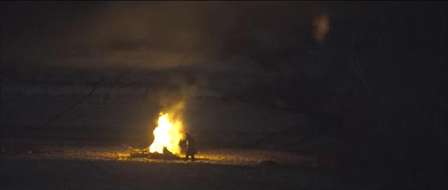 王宝强|11年了,我才发现:《树先生》原来讲的是一个男人“复仇”的故事