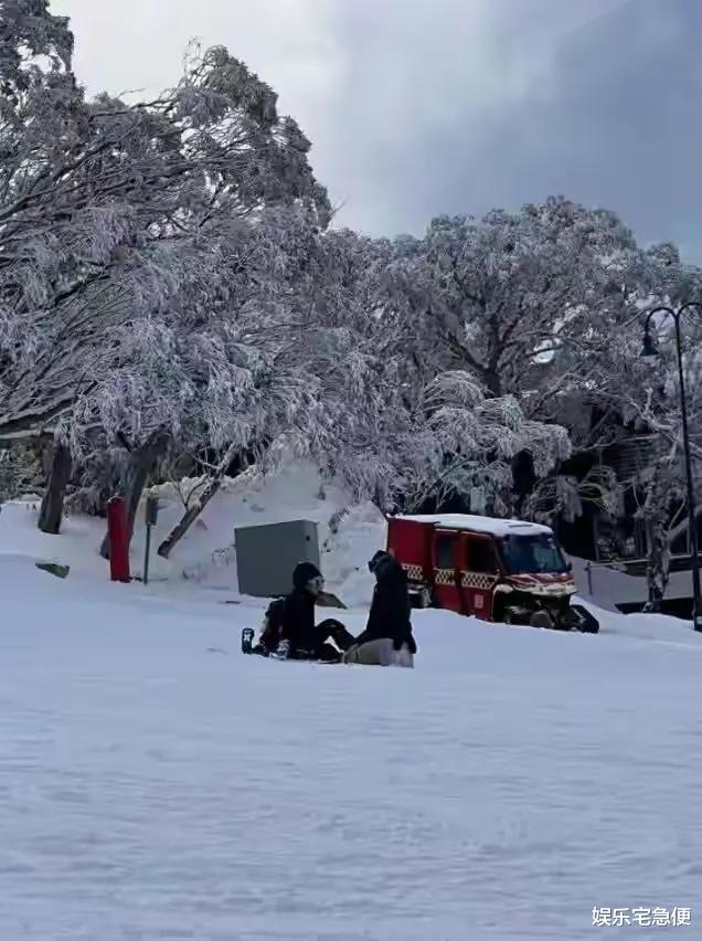 谢霆锋墨尔本教Lucas滑雪,嘱咐路人不要拍儿子,张柏芝同在澳洲