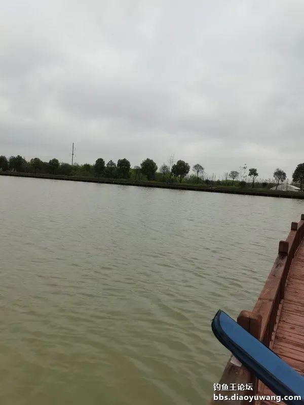 魁拔|再试魁拔极，意外擒鳜鱼